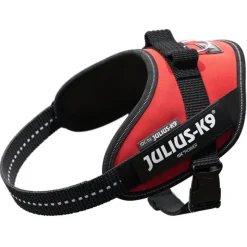 JULIUS-K9 IDC® Power -koiranvaljaat, punainen