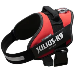 JULIUS-K9 IDC® Power -koiranvaljaat, punainen