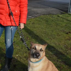 JULIUS-K9 IDC® säädettävä köysihihna