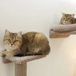 Kerbl Pet Monte Alpi kiipeilyseinä kissoille