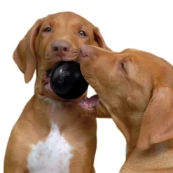 KONG Extreme Ball
