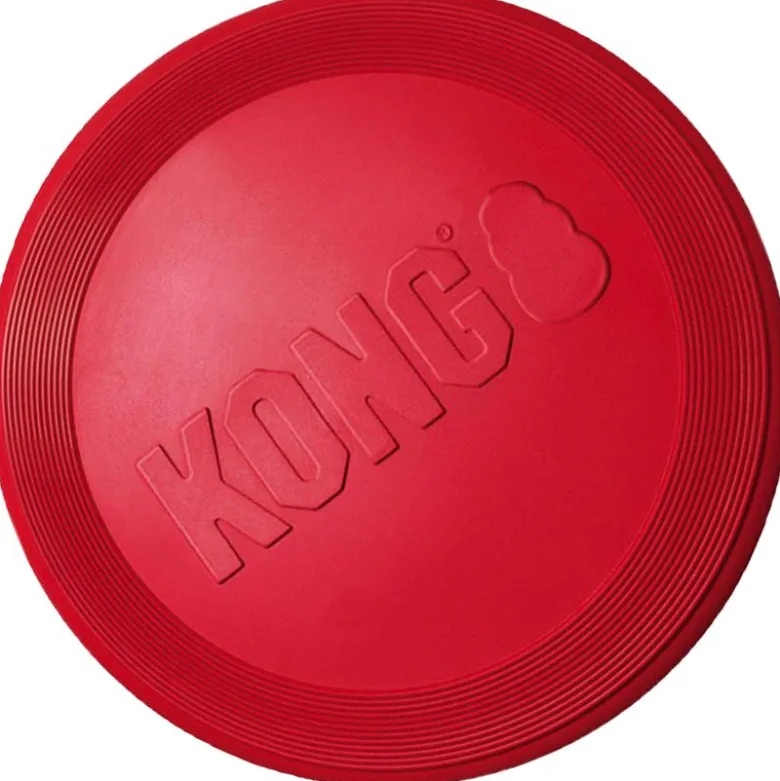 KONG-lelusetti: frisbee, KONG Classic, tennispallot