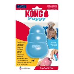KONG Puppy