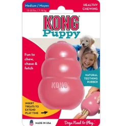 KONG Puppy