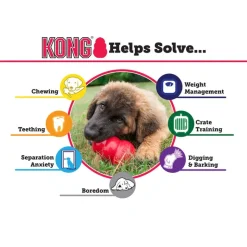 KONG Puppy