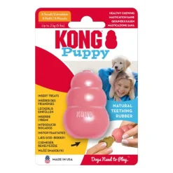 KONG Puppy
