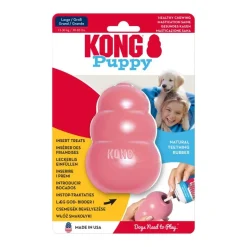 KONG Puppy
