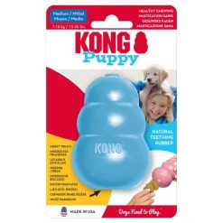 KONG Puppy