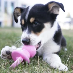 KONG Puppy Binkie ‑purulelu