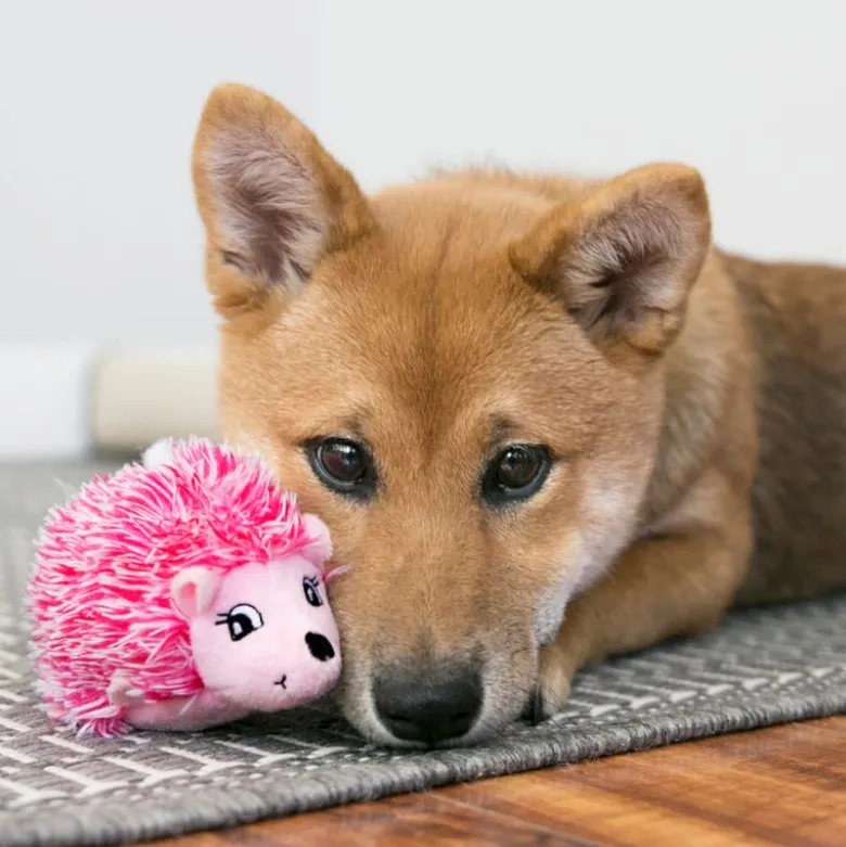 KONG Puppy HedgeHug -pehmolelu