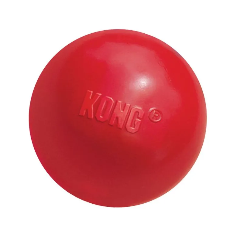 KONG Snack-Ball reiällä