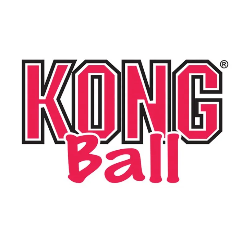 KONG Snack-Ball reiällä