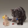 KONG Softies Buzzy Llama