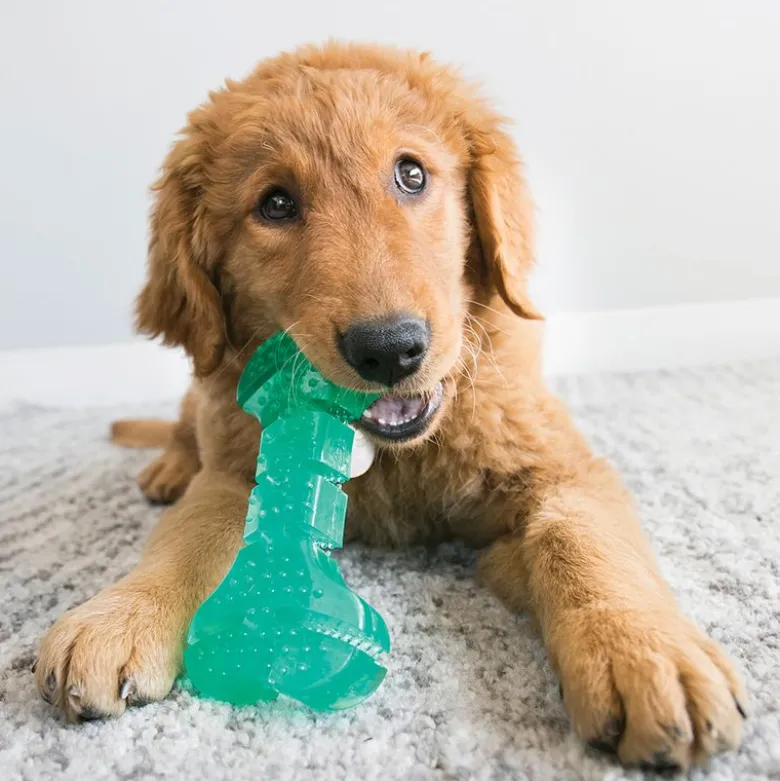 KONG Squeezz Dental Stick (M)