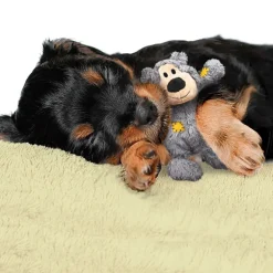 KONG WildKnots Bears