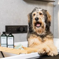 kooa -syväpuhdistava shampoo