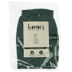 kooa-toipumisasu kissoille