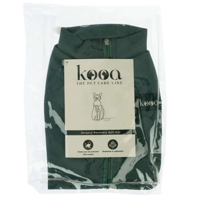 kooa-toipumisasu kissoille