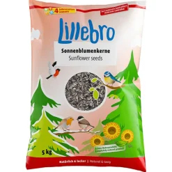 Lillebro-auringonkukansiemenet