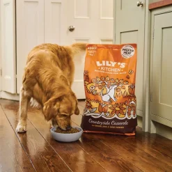 Lily's Kitchen Adult kana & ankka