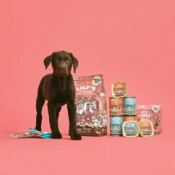 Lily's Kitchen Puppy 6 x 400 g