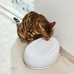 Lucky-Kitty kissa suihkulähde keraaminen