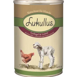 Lukullus-kokeilupakkaus: 1,5 kg + 6 x 400 g märkäruokaa