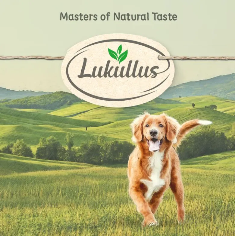 Lukullus Naturkost kalkkunansydän & hanhi