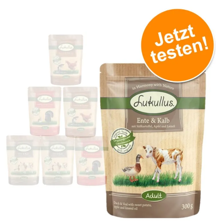 Lukullus Naturkost -tuorepussit 6 x 300 g