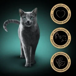 Megapack Sheba tuorepussilajitelmat 28 x 85 g