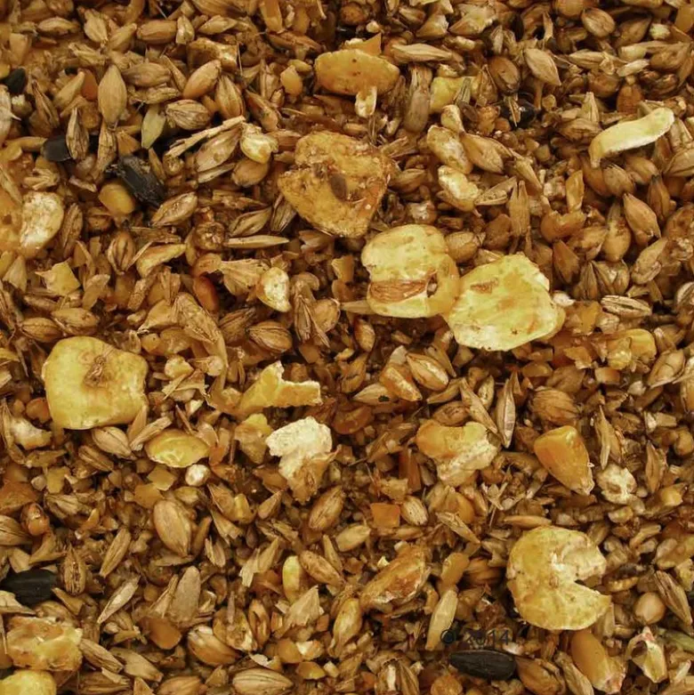 Mühldorfer Senior