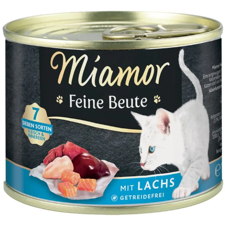 Miamor Feine Beute Kitten