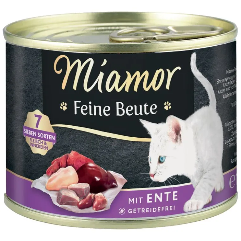 Miamor Feine Beute Kitten
