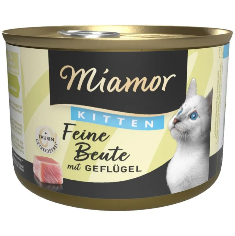 Miamor Feine Beute Kitten