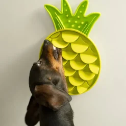 Modern Living Brasilia -nuolumatto ananas
