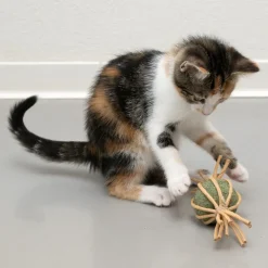 Modern Living Catnip Candy Samarkand -kissanlelu