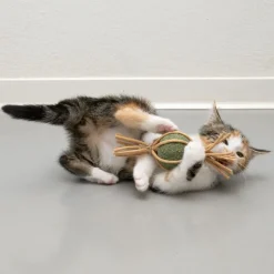 Modern Living Catnip Candy Samarkand -kissanlelu