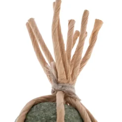 Modern Living Catnip Candy Samarkand -kissanlelu