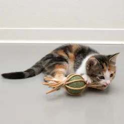 Modern Living Catnip Candy Samarkand -kissanlelu