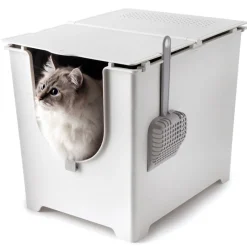 Modkat Flip -kissanvessa
