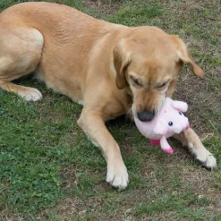 Mouth Massagers Pig