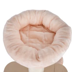 Natural Paradise Magnolia XL -raapimispuu