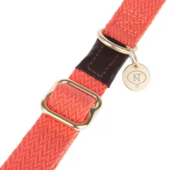 Nomad Tales Bloom -kaulapanta, coral