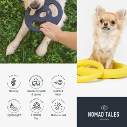 Nomad Tales Bloom -kuntoilurengas