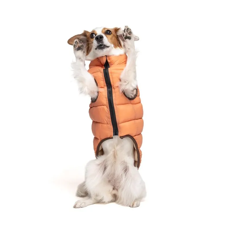 Nomad Tales Bloom Puffer -koirantakki