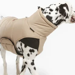Nomad Tales Bloom Quilted Comfort -koiran takki, khaki