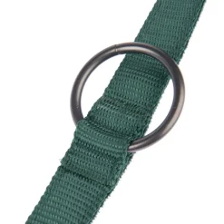 Nomad Tales Blush -koiran talutushihna, emerald
