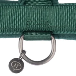 Nomad Tales Blush -valjaat, emerald