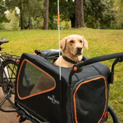 Nomad Tales Spirit Bike Trailer, ebony / tangerine