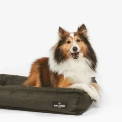 Nomad Tales Spirit Forest Night -koiranpeti ulos